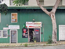 Pleasure Emporium