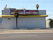Wildcat Entertainment
