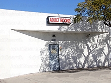 Adult World