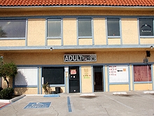 Adult Video Expo