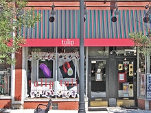 Tulip Gallery