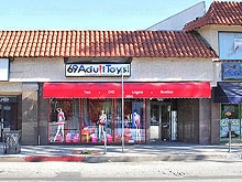 69 Adult Toys