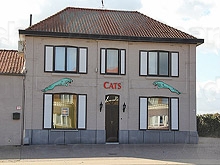 Cats