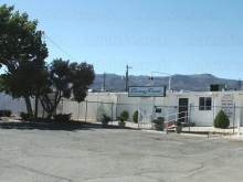 Wells nevada escorts Nevada Brothels