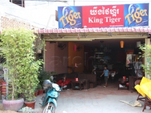 King Tiger