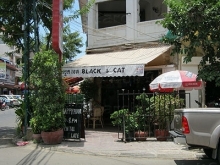 Black Cat Bar