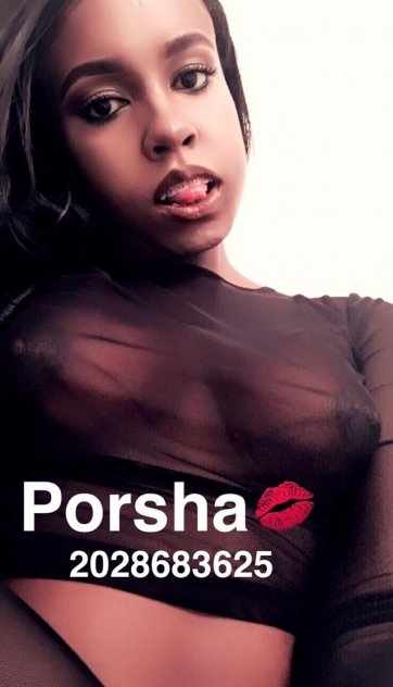 Porsha tstv-shemale-escorts 
