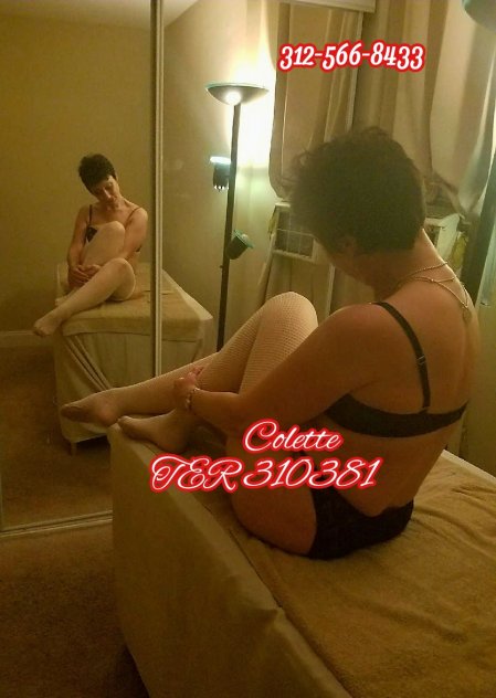 WINDY CITY COUGARS & KITTENS female-escorts 
