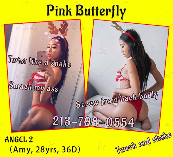 Pink Butterfly Escorts San Fernando Valley