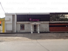 Calenas VIP