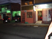 Veronicas