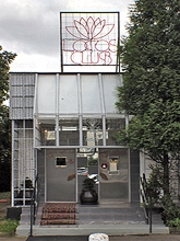 Lotos Club