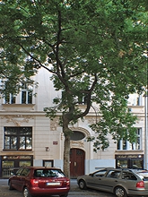 Klub Stella