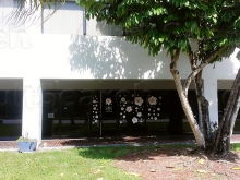 Rose Petals Spa