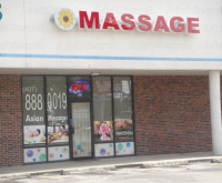 Sunflower Massage