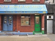 Harmony Spa