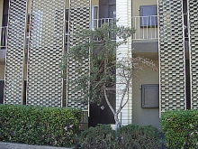 Evergreen Acupuncture