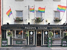 Paddy's Goose