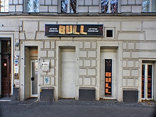 Bull