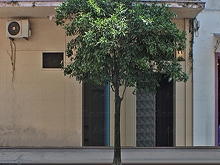 Haus 32L – Kolonou
