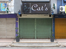 Cat's