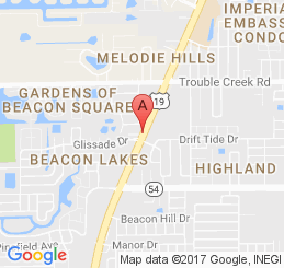 Escorts new port richey fl Vitamin B The Greatest Cover-Up In The History Of Cancer -