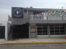 El Ejecutivo D Malpica