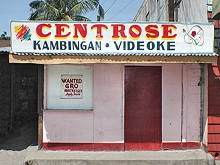 Cent Rose