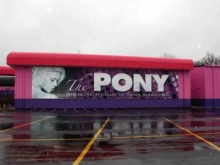 The Pony