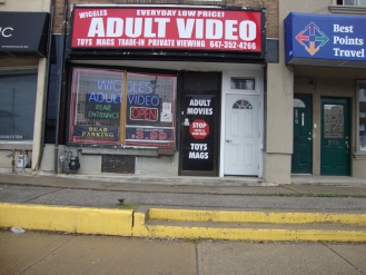 Wiggles Adult Video