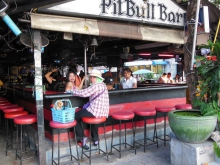 Pit Bull Place Beer Bar