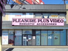 Pleasure Plus Video