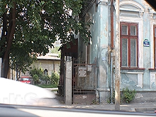 Cathouse ( Brothel )