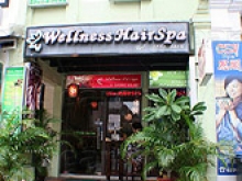 Wellness Hair Spa