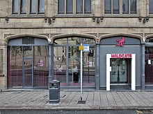 Wild Cats