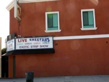 Cheetahs