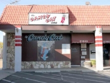 Candy Cat 1