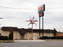 The Oasis