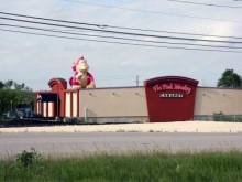 The Pink Monkey