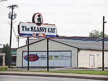 Klassy Cat