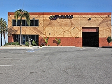 The Palms