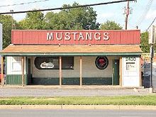 Mustangs