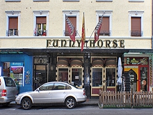 Funny Horse