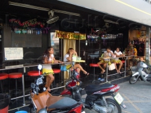 Bee Brothel Bar