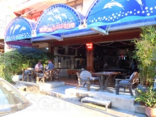Flying Dolphins Beer Bar