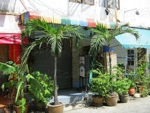 Rainbow Bar