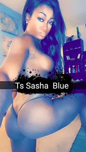 Sasha blue ts