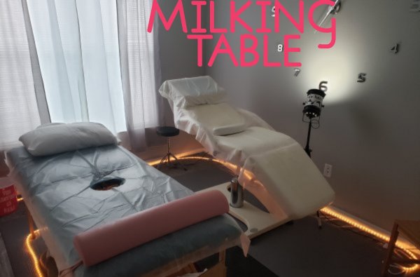 MILKING TABLE  * TEXT ONLY * body-rubs 
