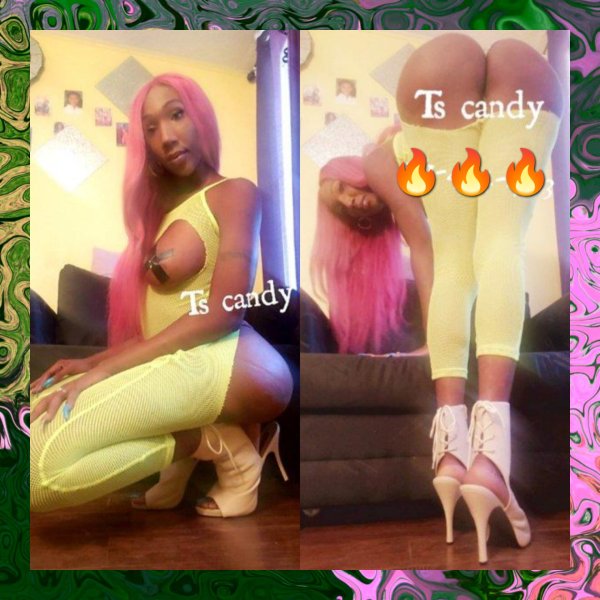 🌸🌺TSCANDY 😍🌺❤️ TS / TV Shemale Escorts West Palm Beach