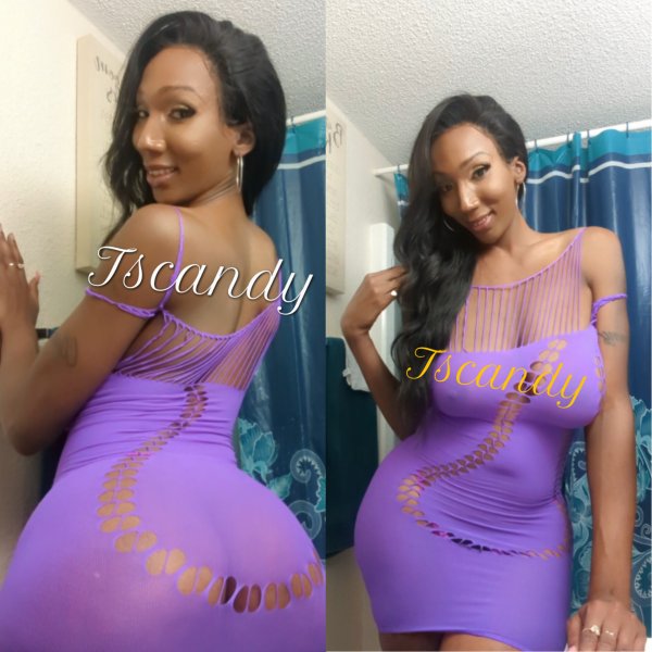 🌸🌺TSCANDY 😍🌺❤️ TS / TV Shemale Escorts West Palm Beach